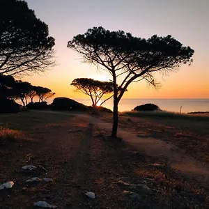Asfodelo Villaputzu